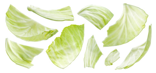 Sliced cabbage isolated on white background, top view