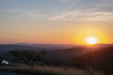 Sunset over the African bush, South Africa.