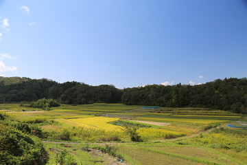 田舎　原風景