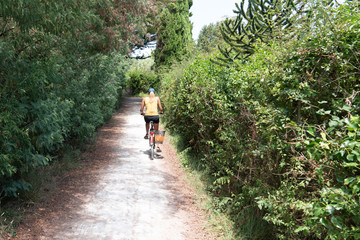 Fototapeta na wymiar ride bike tour Ile d'Aix Charente maritime