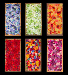 collection of artificial flowers in wooden frame isolated on black.