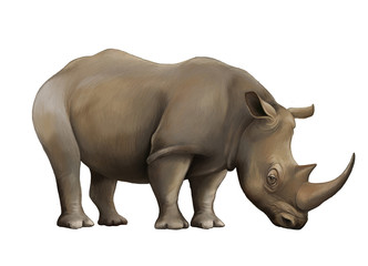 Obraz premium cartoon scene with rhinoceros safari animal illustration for children