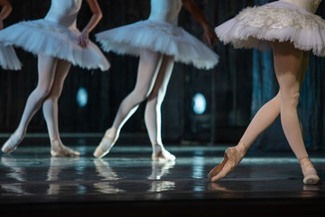 Swan Lake ballet. Closeup of ballerinas dancing