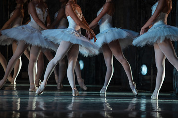 Swan Lake ballet. Closeup of ballerinas dancing - obrazy, fototapety, plakaty