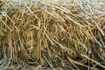 Dry hay. Folded in a bundle. The ends are trimmed. Horizontal orientation