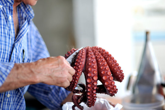 image of a cooked octopus	