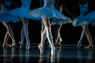 Swan Lake ballet. Closeup of ballerinas dancing
