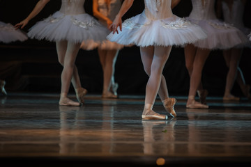 Swan Lake ballet. Closeup of ballerinas dancing