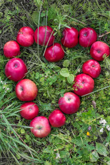 red juicy apples are laid out in the shape of a heart on the green grass