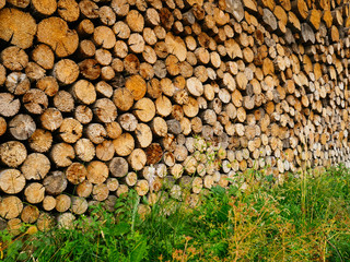 Neatly stacked firewood. Preparation for the winter