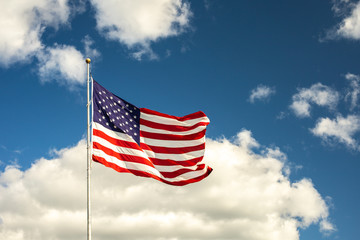 United States USA Flag 