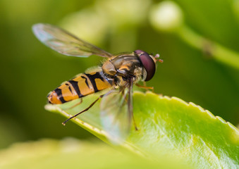 Awaiting Takeoff