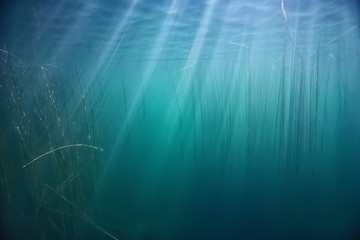 ocean water blue background underwater rays sun / abstract blue background nature water