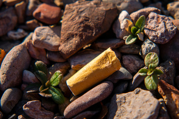 The most common form of garbage with an estimated 5 billion cigarette butts thrown into the environment worldwide each year. 