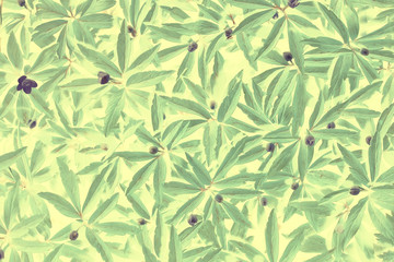 green vintage background leaves grass / abstract unusual background vintage look