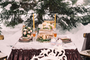 Winter wedding table decor bride and groom for photo shoot