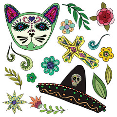  illustration for the day of the dead. multicolored skull of a cat with floral patterns, leaves and sombrero. Dia de los muertos