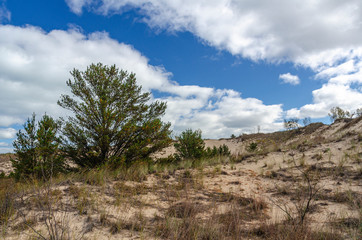 625-65 Dune Clouds