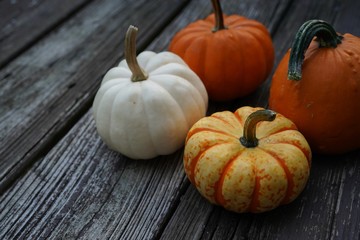 Fall Autumn pumpkins background with copy space, selective focus