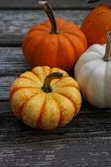 Fall Autumn pumpkins background with copy space, selective focus