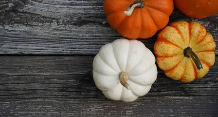 Fall Autumn pumpkins background with copy space, selective focus