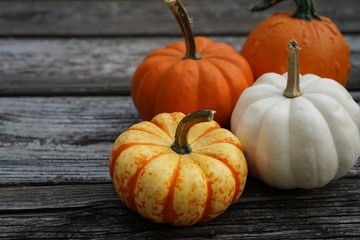 Fall Autumn pumpkins background with copy space, selective focus
