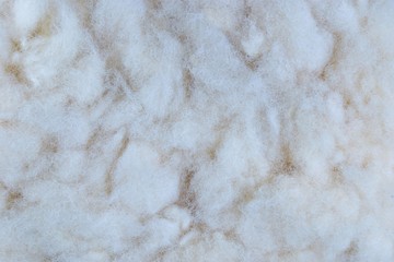 White fur-tanned animal skins with wool. Fur-hair cover of mammals, protects against winter climatic conditions of the environment. It is used for the manufacture of expensive clothing.