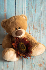 Plush soft toy teddy bear with flowers brown red sunflower and gift box. Greeting card. Children's cute background for gift bags. Congratulations on Valentine's Day, happy birthday, with love