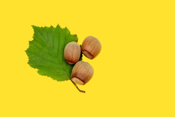 Raw hazelnuts with leaf on yellow background