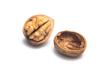 Open Walnut