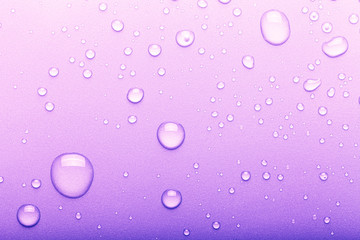 Drops of water on a color background. Selective focus. Purple. Toned