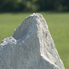 The top of a big stone with grassland and trees in the blurred background.