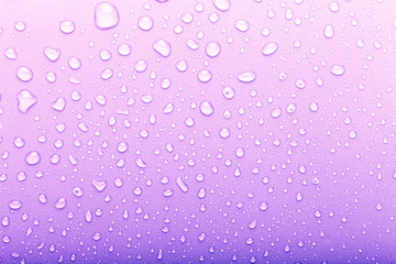 Drops of water on a color background. Selective focus. Purple. Toned