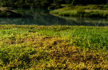 dock in the lake Mockup Background Photo