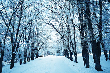 winter park, cityscape in winter weather / landscape snow, city, trees in a city park in the north