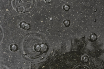 background puddle rain / circles and drops in a puddle, texture with bubbles in the water, autumn rain