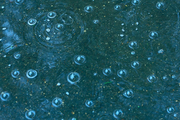 blue background puddle of rain / raindrops, circles on a puddle, bubbles in the water, the weather is autumn