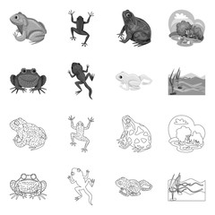 Naklejka premium Vector design of wildlife and bog logo. Collection of wildlife and reptile stock vector illustration.