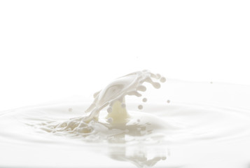 splash from falling drops of white milk on a white background