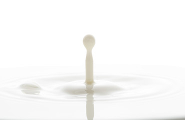 splash from falling drops of white milk on a white background