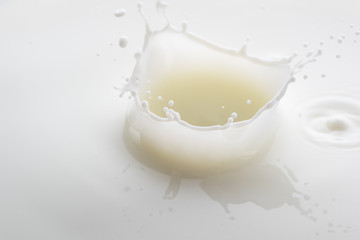splash on the surface of white milk on a white background