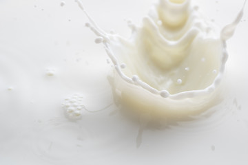 splash on the surface of white milk on a white background