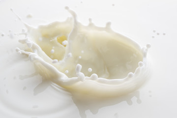 splash on the surface of white milk on a white background