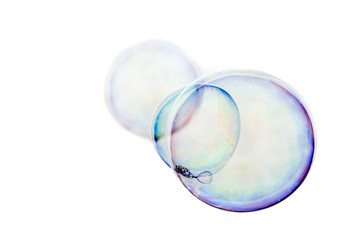 soap bubbles on a white background