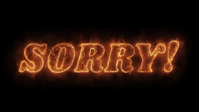 SORRY Word Hot Animated Burning Realistic Fire Flame and Smoke Seamlessly loop Animation on Isolated Black Background. Fire Word, Fire Text, Flame word, Flame Text, Burning Word, Burning Text.