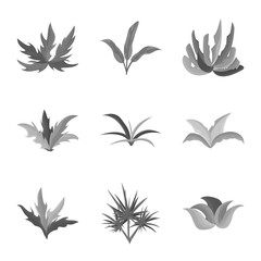 Fototapeta na wymiar Vector illustration of foliage and floral sign. Collection of foliage and summer stock symbol for web.