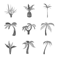 Vector illustration of jungle and botanical symbol. Collection of jungle and flora stock symbol for web.