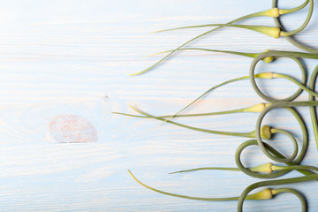 Ripe garlic arrows on a light wooden background