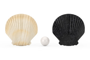 Black and White Beauty Scallop Sea or Ocean Shell Seashell with White Pearl. 3d Rendering