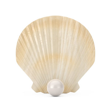 Beauty Scallop Sea or Ocean Shell Seashell with Pearl. 3d Rendering